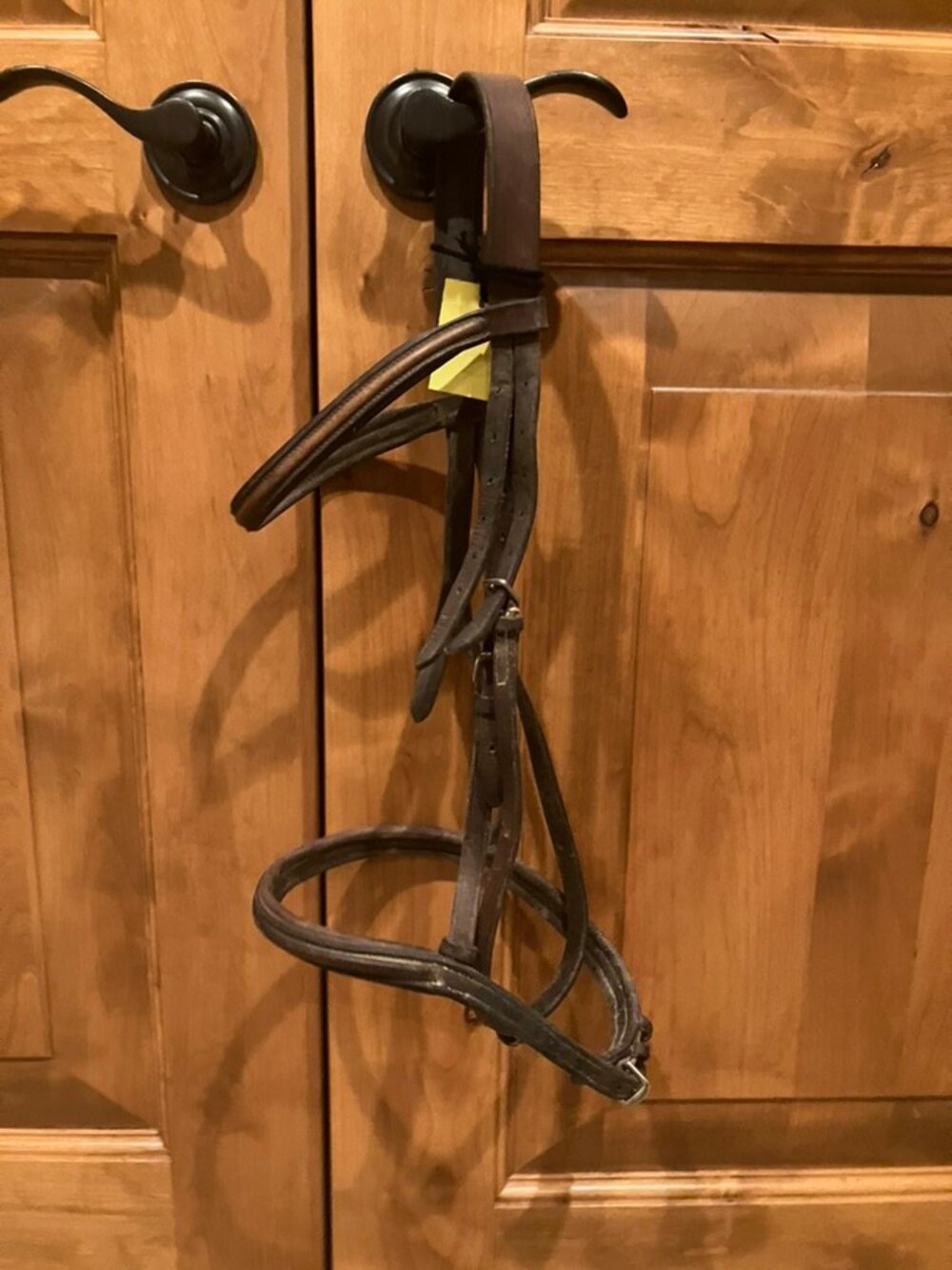Hunter/Jumper Bridle